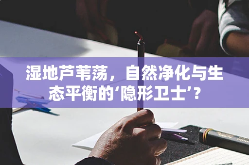 湿地芦苇荡，自然净化与生态平衡的‘隐形卫士’？