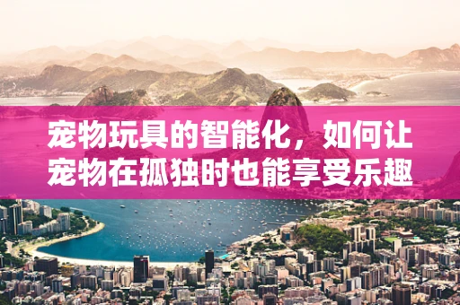 宠物玩具的智能化，如何让宠物在孤独时也能享受乐趣？