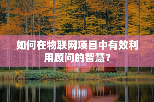 如何在物联网项目中有效利用顾问的智慧？