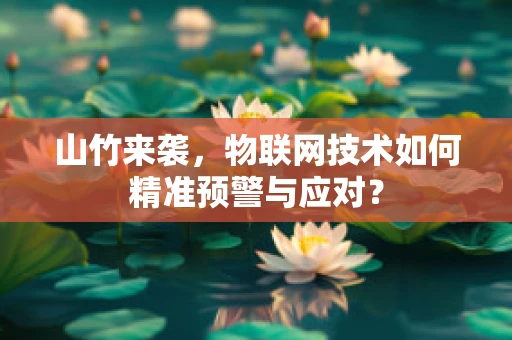 山竹来袭，物联网技术如何精准预警与应对？