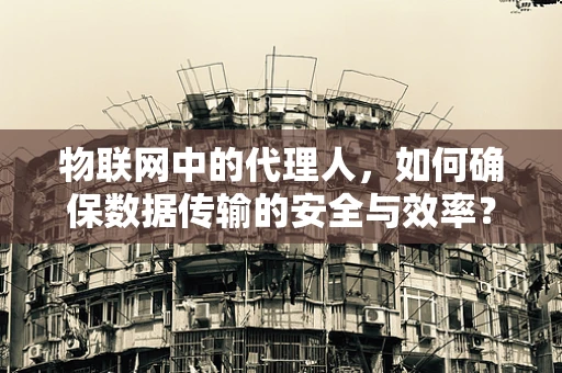 物联网中的代理人，如何确保数据传输的安全与效率？