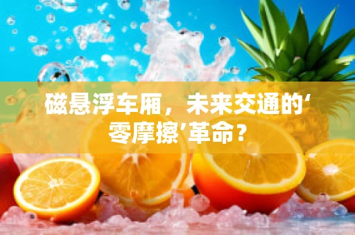 磁悬浮车厢，未来交通的‘零摩擦’革命？