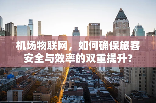 机场物联网，如何确保旅客安全与效率的双重提升？