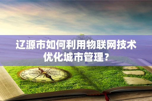 辽源市如何利用物联网技术优化城市管理？