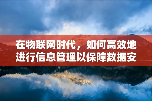 在物联网时代，如何高效地进行信息管理以保障数据安全与隐私？