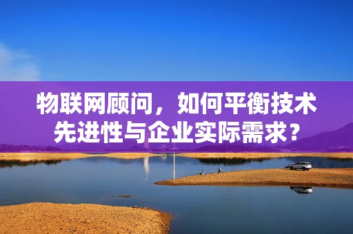 物联网顾问，如何平衡技术先进性与企业实际需求？