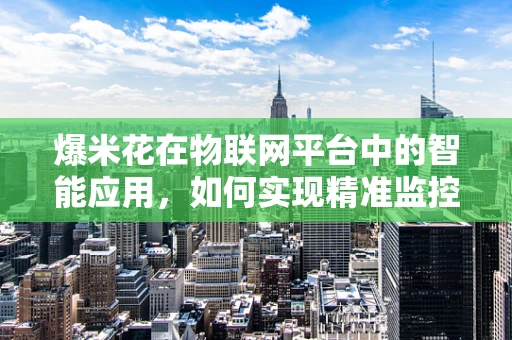 爆米花在物联网平台中的智能应用，如何实现精准监控与个性化推荐？