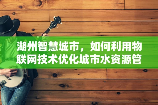 湖州智慧城市，如何利用物联网技术优化城市水资源管理？
