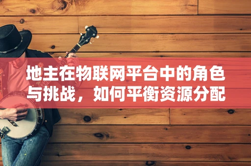 地主在物联网平台中的角色与挑战，如何平衡资源分配与高效利用？