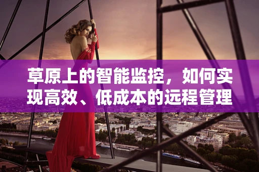 草原上的智能监控，如何实现高效、低成本的远程管理？