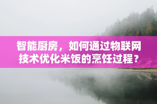 智能厨房，如何通过物联网技术优化米饭的烹饪过程？