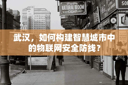 武汉，如何构建智慧城市中的物联网安全防线？