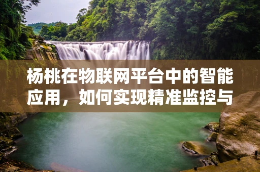 杨桃在物联网平台中的智能应用，如何实现精准监控与优化？