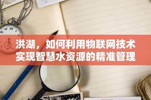 洪湖，如何利用物联网技术实现智慧水资源的精准管理？