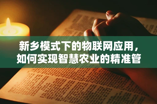新乡模式下的物联网应用，如何实现智慧农业的精准管理？