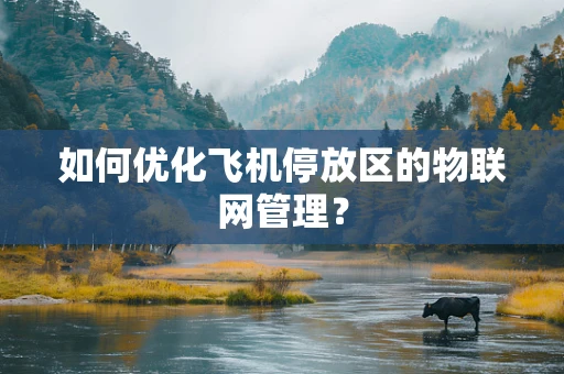 如何优化飞机停放区的物联网管理？