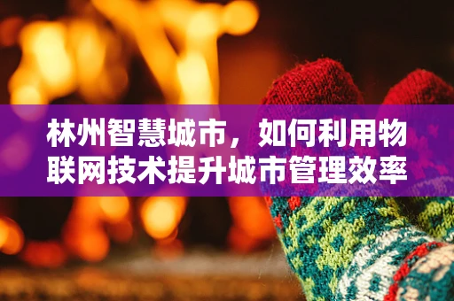 林州智慧城市，如何利用物联网技术提升城市管理效率？