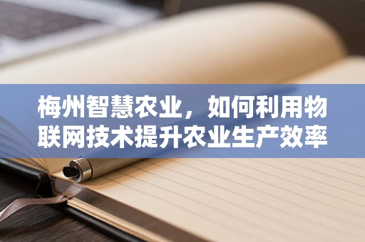 梅州智慧农业，如何利用物联网技术提升农业生产效率？
