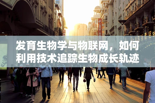 发育生物学与物联网，如何利用技术追踪生物成长轨迹？