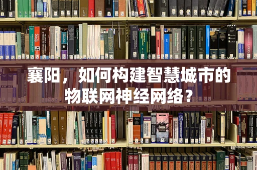 襄阳，如何构建智慧城市的物联网神经网络？