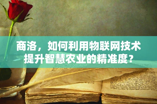 商洛，如何利用物联网技术提升智慧农业的精准度？