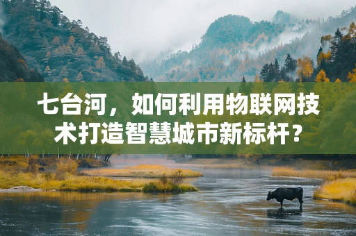 七台河，如何利用物联网技术打造智慧城市新标杆？