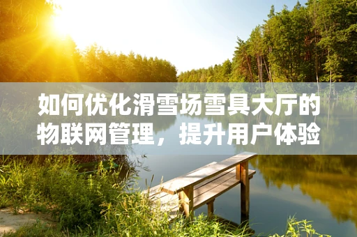 如何优化滑雪场雪具大厅的物联网管理，提升用户体验？