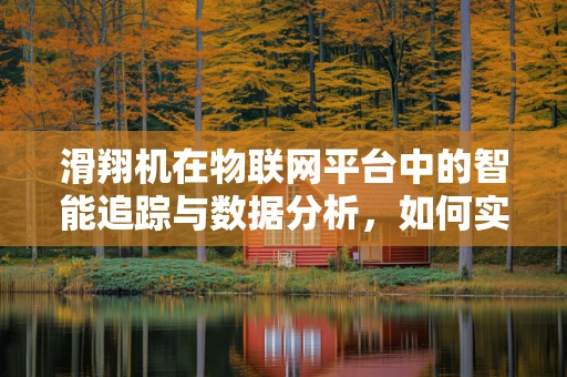 滑翔机在物联网平台中的智能追踪与数据分析，如何实现？
