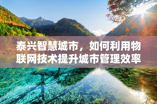 泰兴智慧城市，如何利用物联网技术提升城市管理效率？
