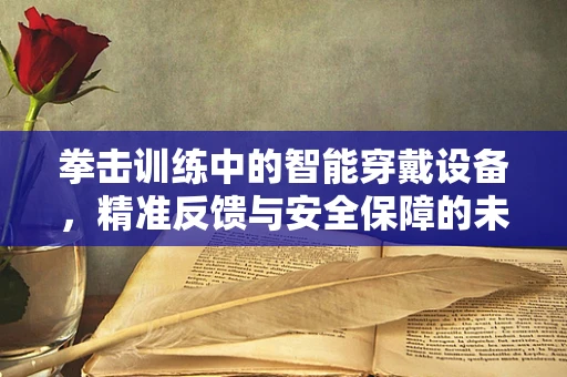拳击训练中的智能穿戴设备，精准反馈与安全保障的未来？