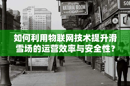如何利用物联网技术提升滑雪场的运营效率与安全性？