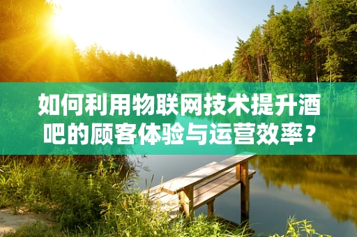 如何利用物联网技术提升酒吧的顾客体验与运营效率？