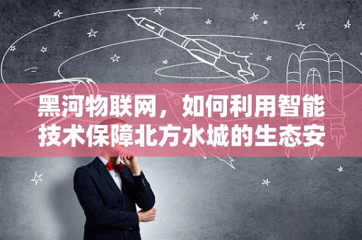 黑河物联网，如何利用智能技术保障北方水城的生态安全？