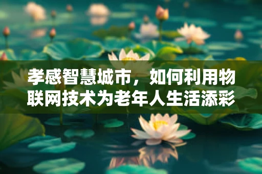 孝感智慧城市，如何利用物联网技术为老年人生活添彩？