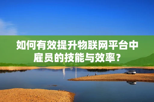 如何有效提升物联网平台中雇员的技能与效率？