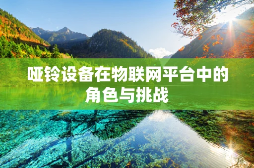 哑铃设备在物联网平台中的角色与挑战