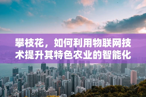攀枝花，如何利用物联网技术提升其特色农业的智能化水平？