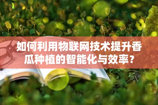 如何利用物联网技术提升香瓜种植的智能化与效率？