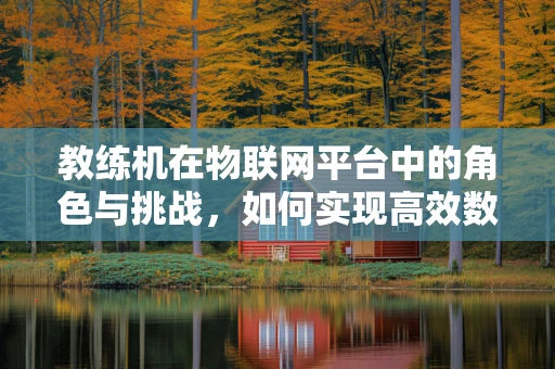 教练机在物联网平台中的角色与挑战，如何实现高效数据传输与智能训练？