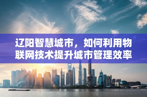 辽阳智慧城市，如何利用物联网技术提升城市管理效率？