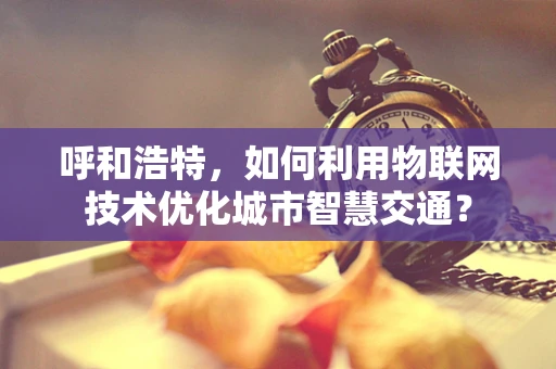 呼和浩特，如何利用物联网技术优化城市智慧交通？