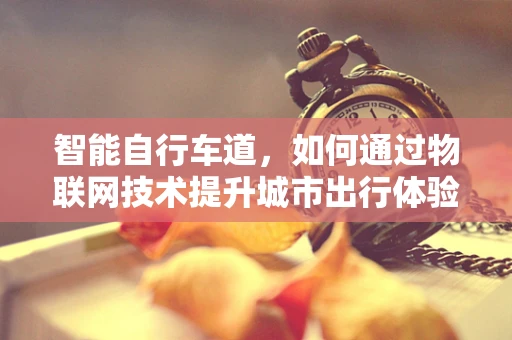 智能自行车道，如何通过物联网技术提升城市出行体验？