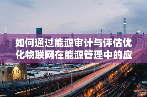 如何通过能源审计与评估优化物联网在能源管理中的应用？