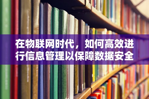 在物联网时代，如何高效进行信息管理以保障数据安全与隐私？