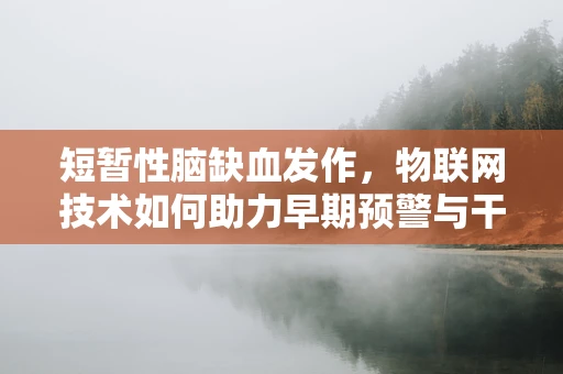 短暂性脑缺血发作，物联网技术如何助力早期预警与干预？