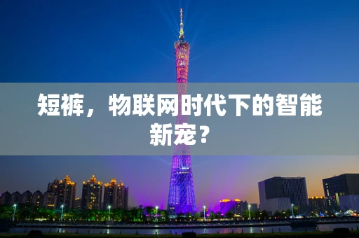短裤，物联网时代下的智能新宠？