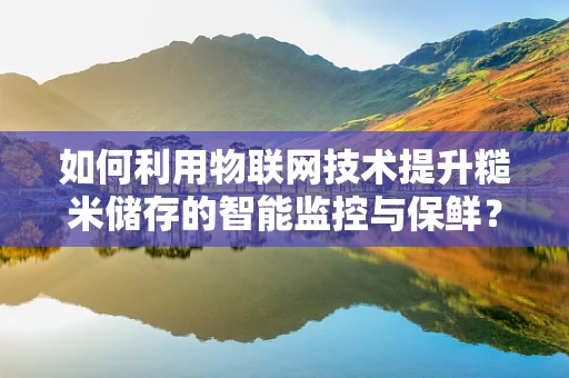 如何利用物联网技术提升糙米储存的智能监控与保鲜？