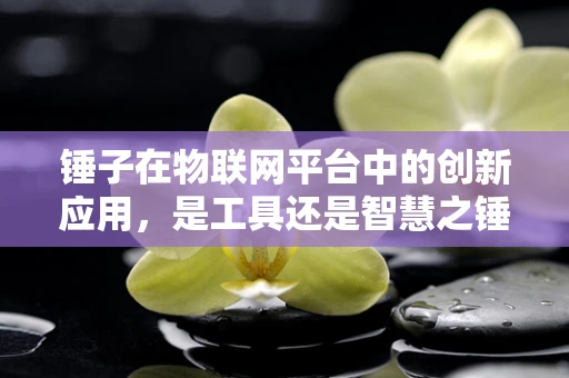 锤子在物联网平台中的创新应用，是工具还是智慧之锤？