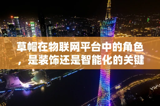 草帽在物联网平台中的角色，是装饰还是智能化的关键？