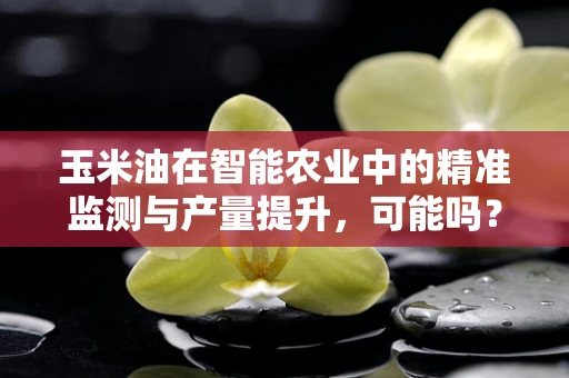 玉米油在智能农业中的精准监测与产量提升，可能吗？